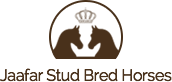 Category bred